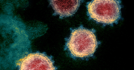 Coronavirus